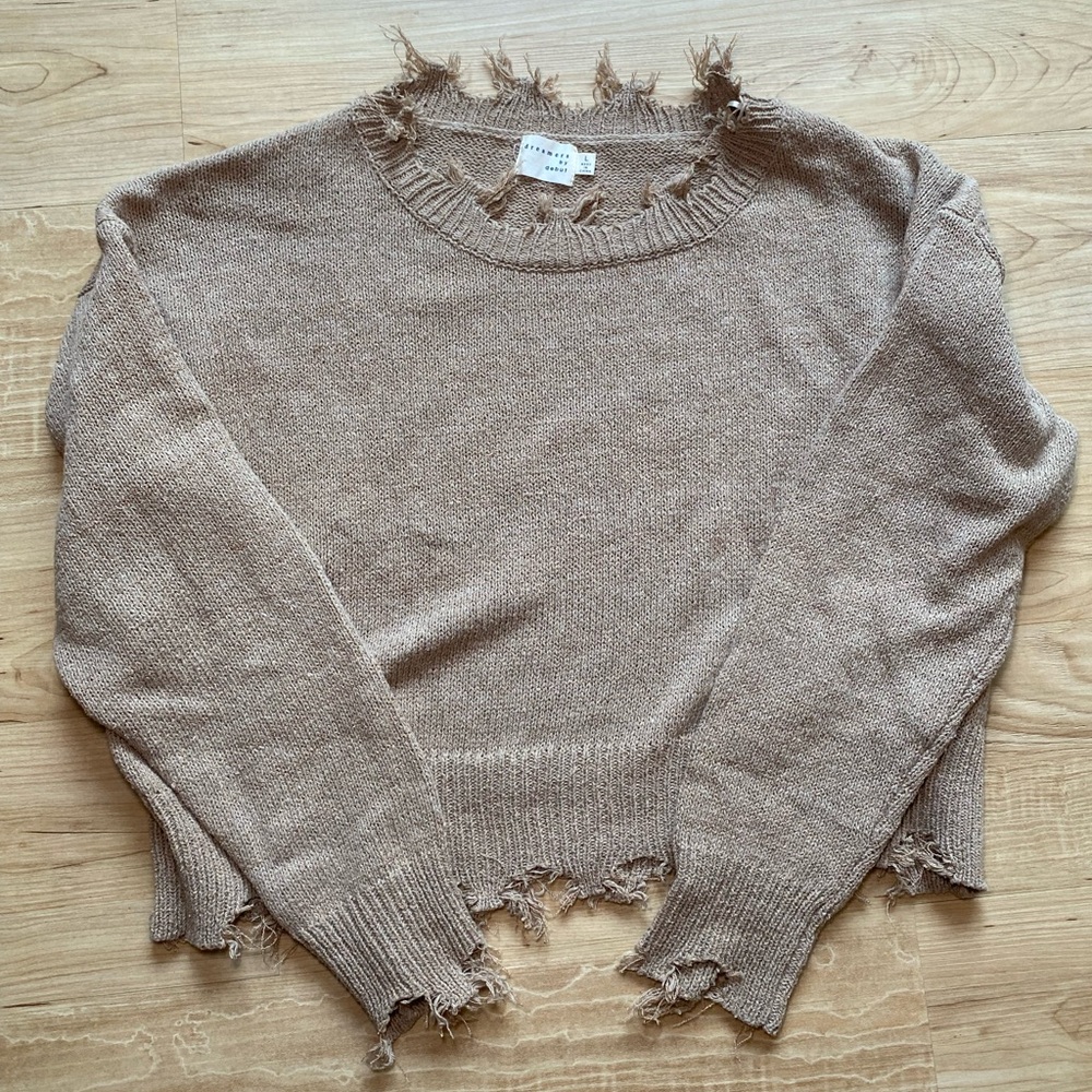 Dreamers by Debut Tan Cropped Sweater